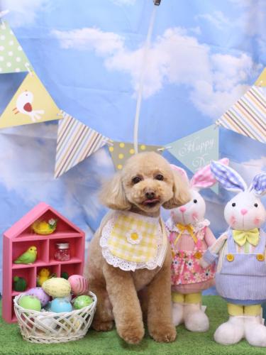 20240322めるちゃん